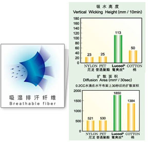 KASONëbg--Lucoolˬz