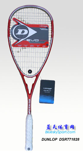 DUNLOP DSR771828ձ