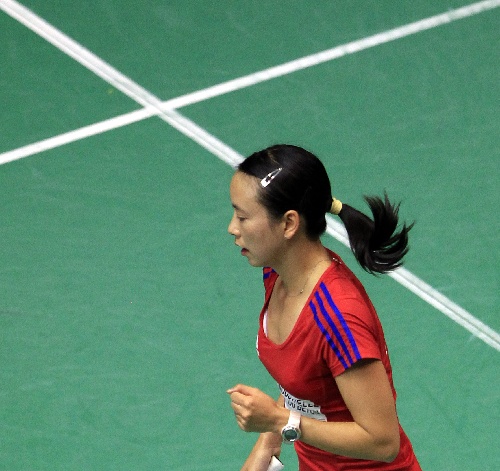 HongYan Pi - FRA  xƤtG