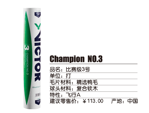 shuttle_champion3.jpg (88378 ֹ)